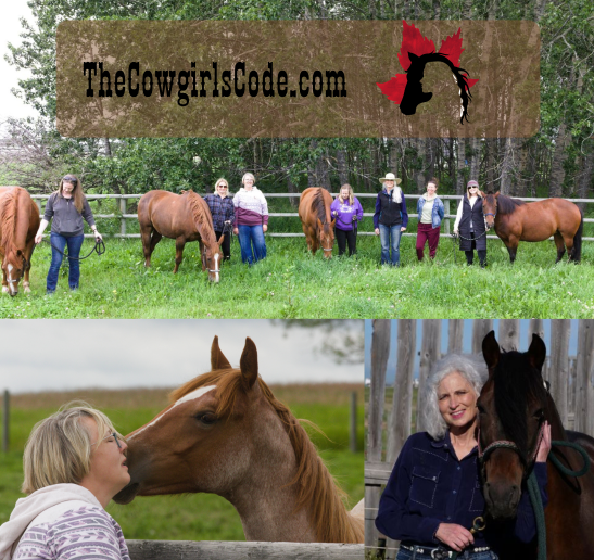 TCC montage TCC photo montage